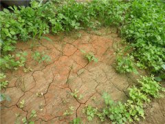 土壤养分速测仪为农民朋友解决烦恼
