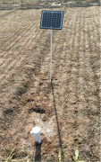 土壤墒情检测站对大棚种植的用途