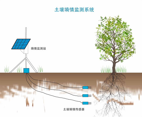 土壤墒情传感器都包括哪些部分