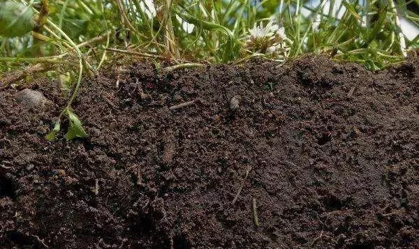 土壤墒情监测有什么意义