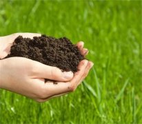中国现阶段的土壤现状及施肥情况