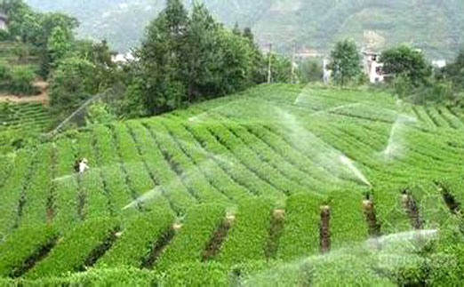 你知道怎么有效的节水灌溉吗？