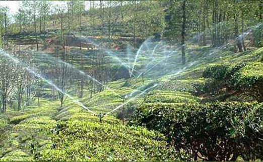 土壤墒情自动监测站茶园灌溉中能发挥什么作用？