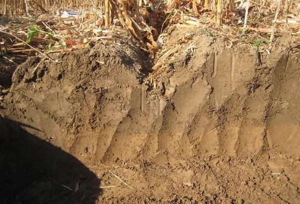 土壤墒情自动测报系统的工作原理和监测方法