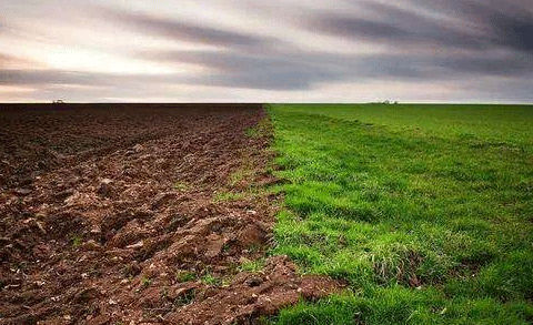 土壤墒情对农作物生长的重要意义