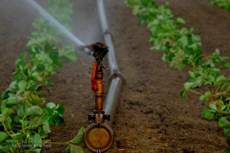 灌溉有讲究，用好了增产增收！